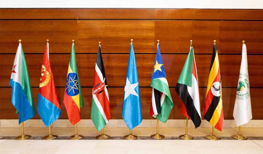 Regional leaders at an IGAD meeting